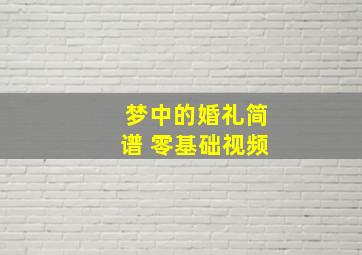 梦中的婚礼简谱 零基础视频